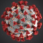 How do I respond to the Coronavirus?